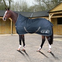 Výbehová deka Luxe Horses 300g